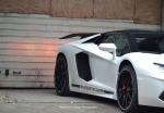 Lamborghini Aventador LP700-4 by Edo Competition 2016 года